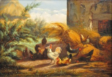 amb0001D15 animal fowl Oil Paintings